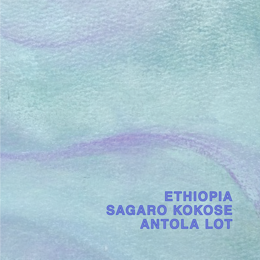 ETHIOPIA SAGARO KOKOSE ANTOLA LOT