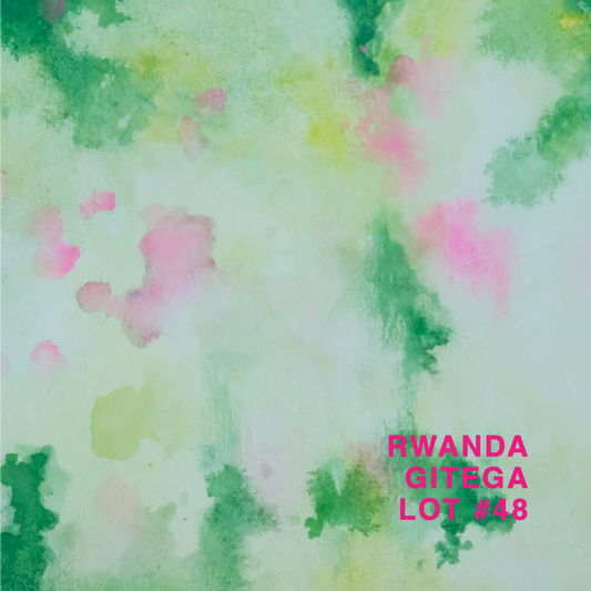 RWANDA GITEGA LOT #48