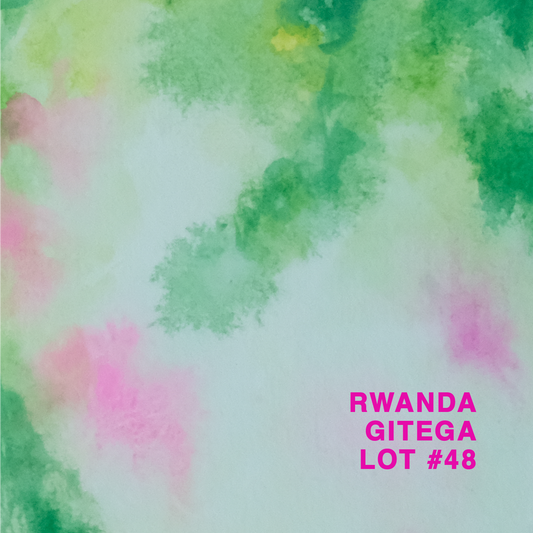 RWANDA GITEGA LOT #48