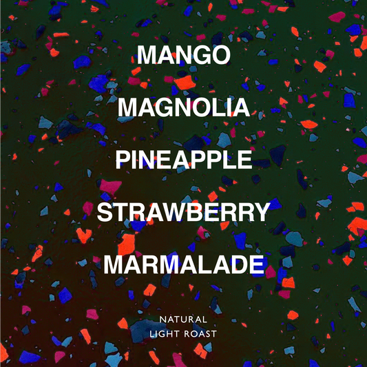 ETHIOPIA ISMAEL HASSEN KAYON MT.