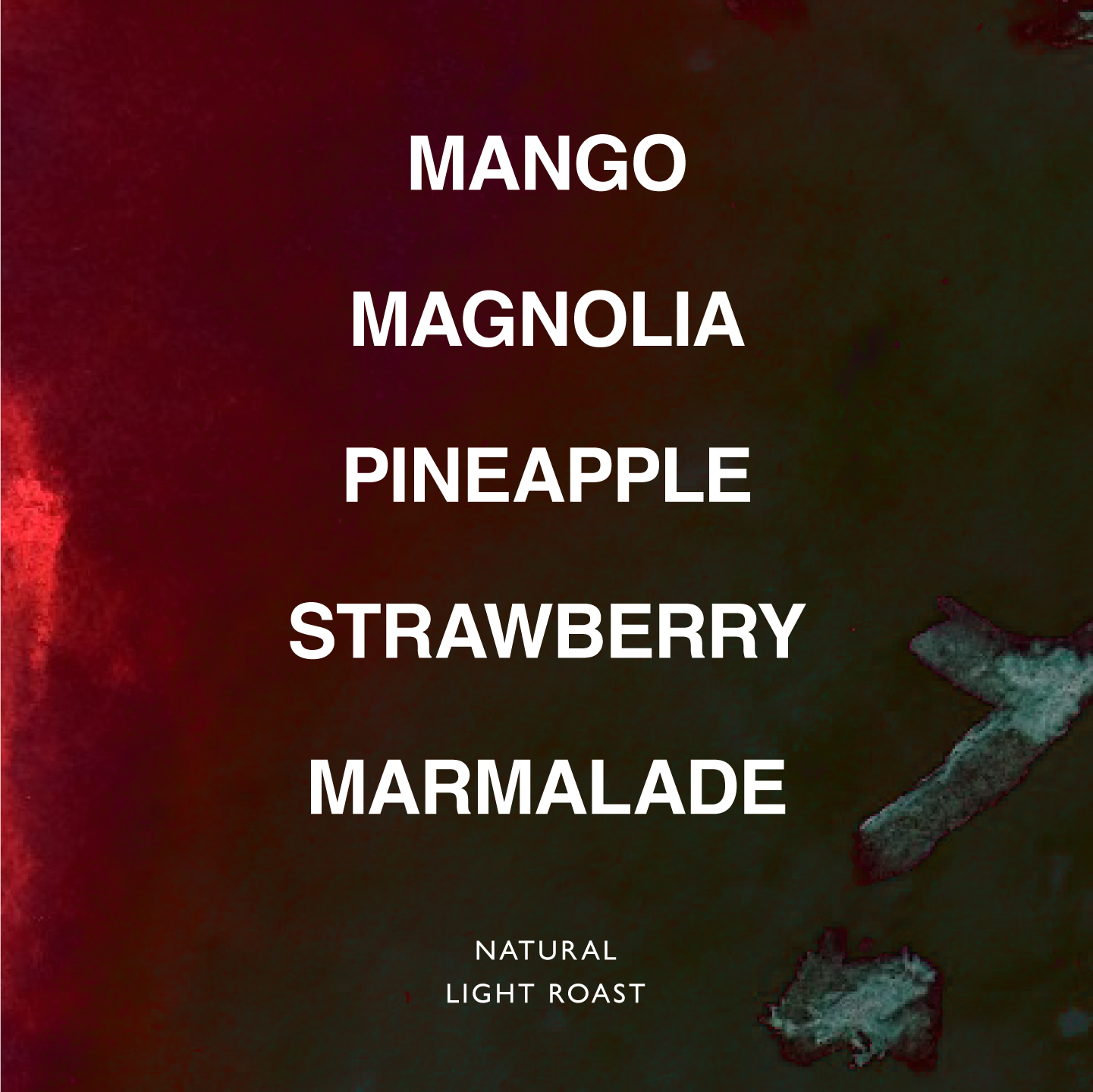 ETHIOPIA ISMAEL HASSEN KAYON MT