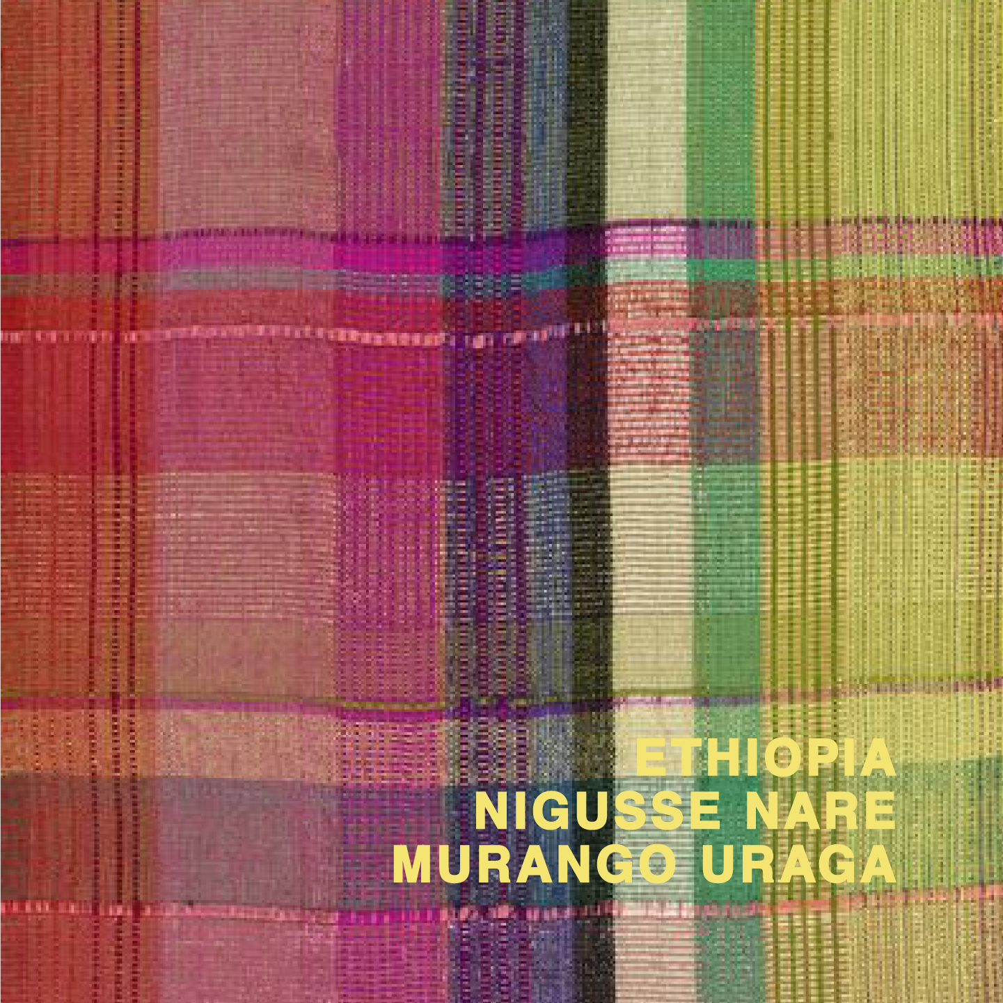 ETHIOPIA NIGUESSE NARE G1 MURANGO URAGA ANR