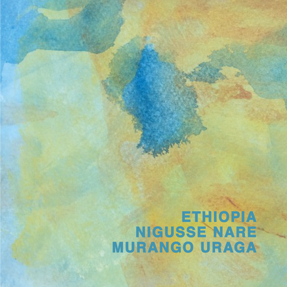 ETHIOPIA NIGUSSE NARE G1 MURANGO URAGA ANR