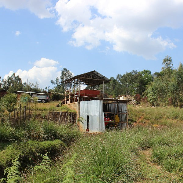 ETHIOPIA BIFTU GUDINA LOT GAMABUTA