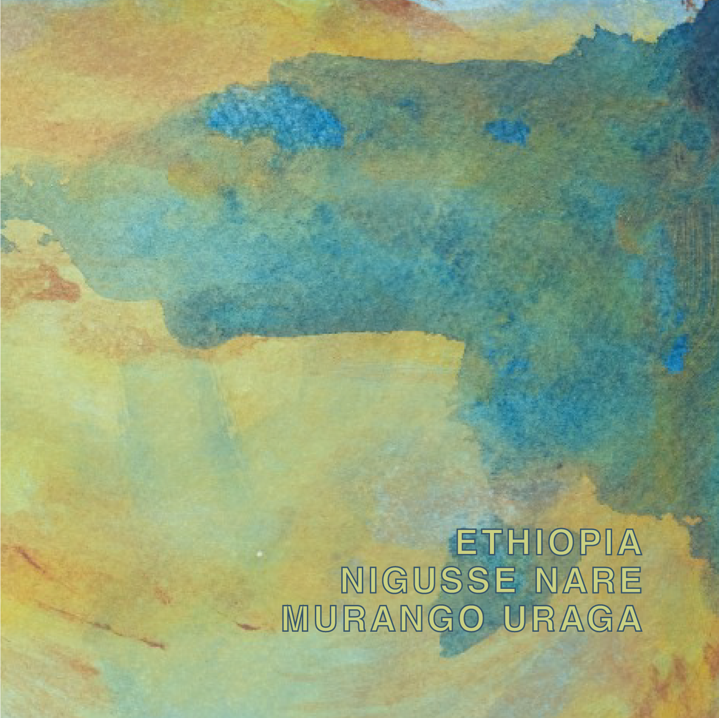 ETHIOPIA NIGUSSE NARE G1 MURANGO URAGA ANR