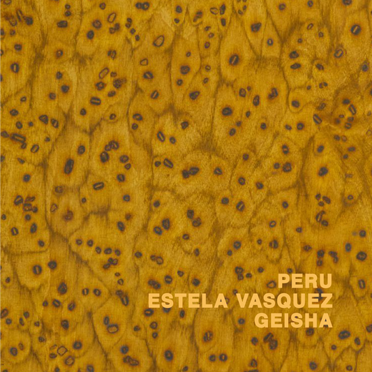 PERU ESTELA VASQUEZ GEISHA