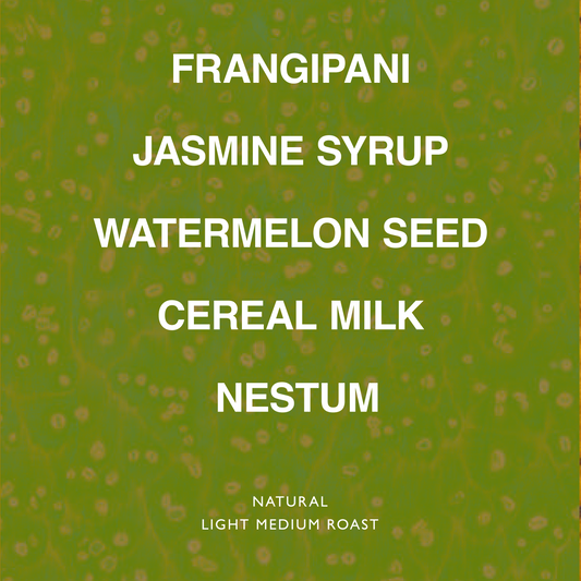 PERU ESTELA VASQUEZ GEISHA