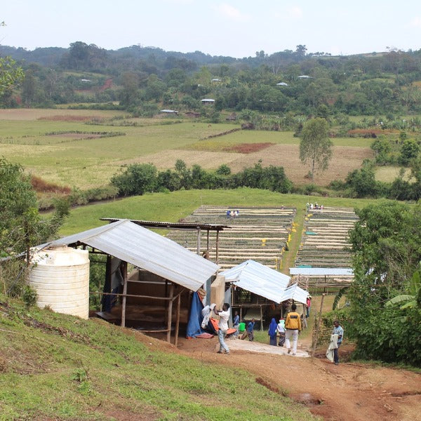 ETHIOPIA BIFTU GUDINA LOT GAMABUTA