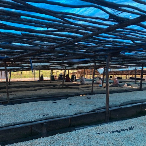 ETHIOPIA MUSTEFA ABAKENO LOT AMATERA