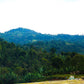 ETHIOPIA HALO BERITI