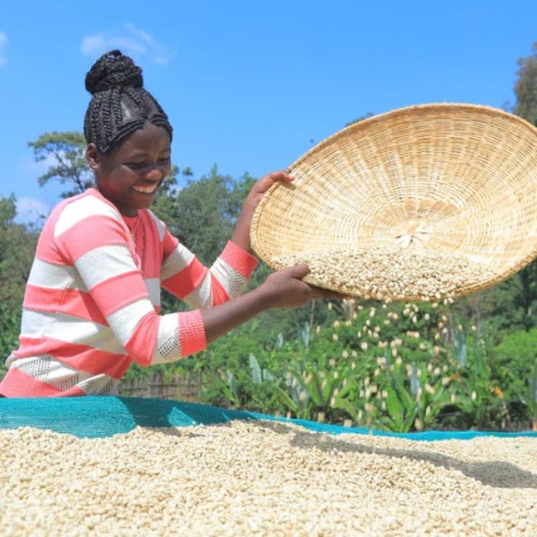 ETHIOPIA BUKU SAYISA ANNA