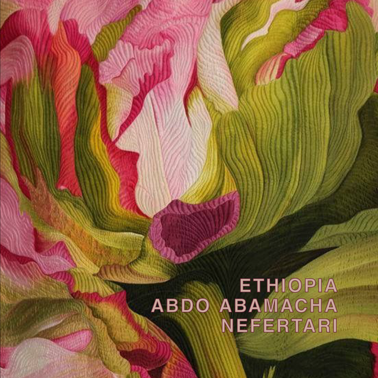 ETHIOPIA ABDO ABAMACHA NEFERTARI
