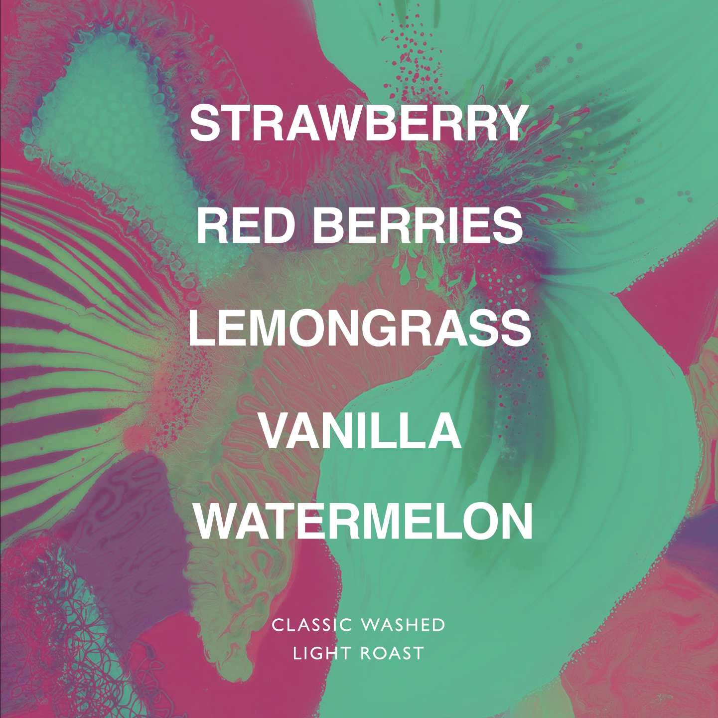 ETHIOPIA ABDO ABAMACHA NEFERTARI