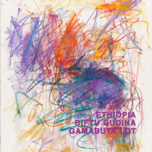 ETHIOPIA BIFTU GUDINA LOT GAMABUTA