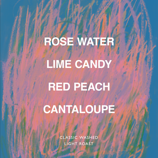 ETHIOPIA BIFTU GUDINA LOT GAMABUTA