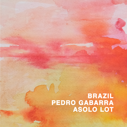 BRAZIL PEDRO GABARRA ASOLO LOT