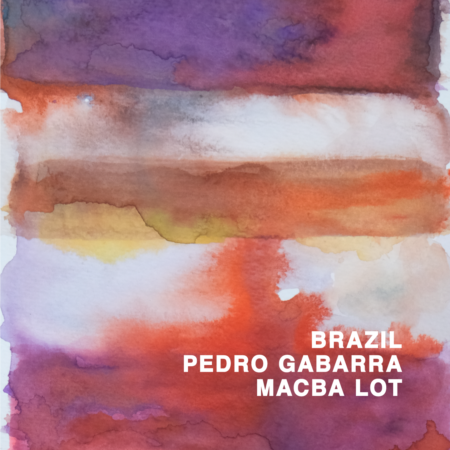 BRAZIL PEDRO GABARRA MACBA LOT