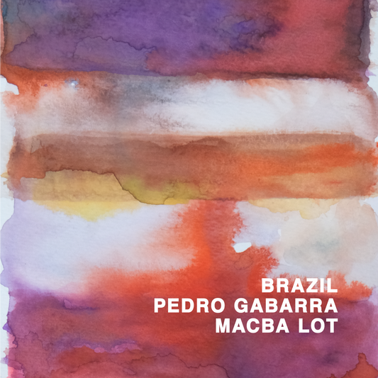 BRAZIL PEDRO GABARRA MACBA LOT