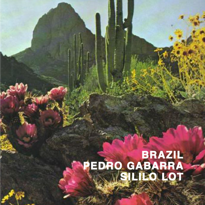 BRAZIL PEDRO GABARRA SILILO LOT