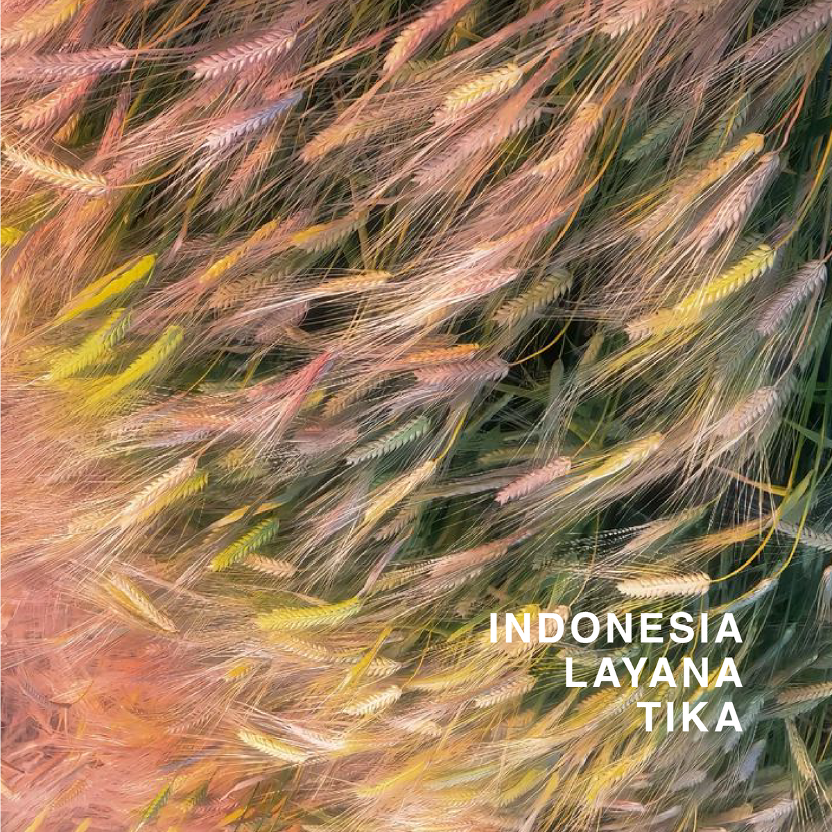 INDONESIA CURTINA LAYANA TIKA