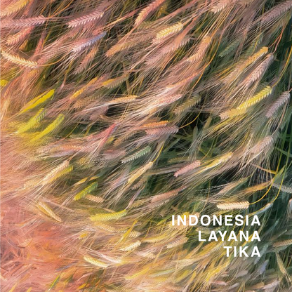 INDONESIA CURTINA LAYANA TIKA