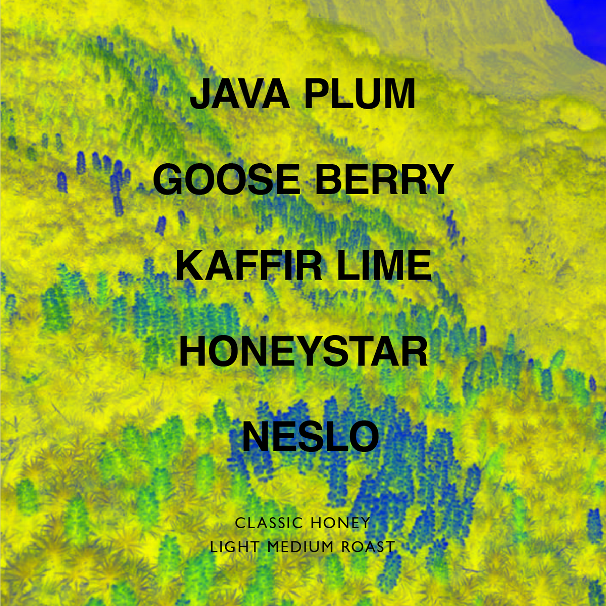 INDONESIA CURTINA KEMBANG RIJASA