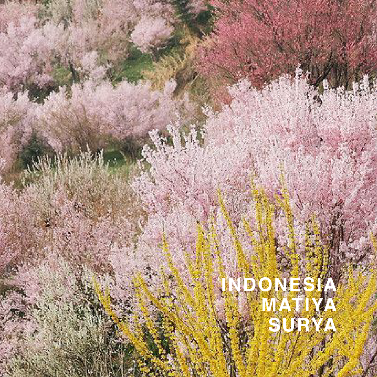 INDONESIA CURTINA MATIYA SURYA