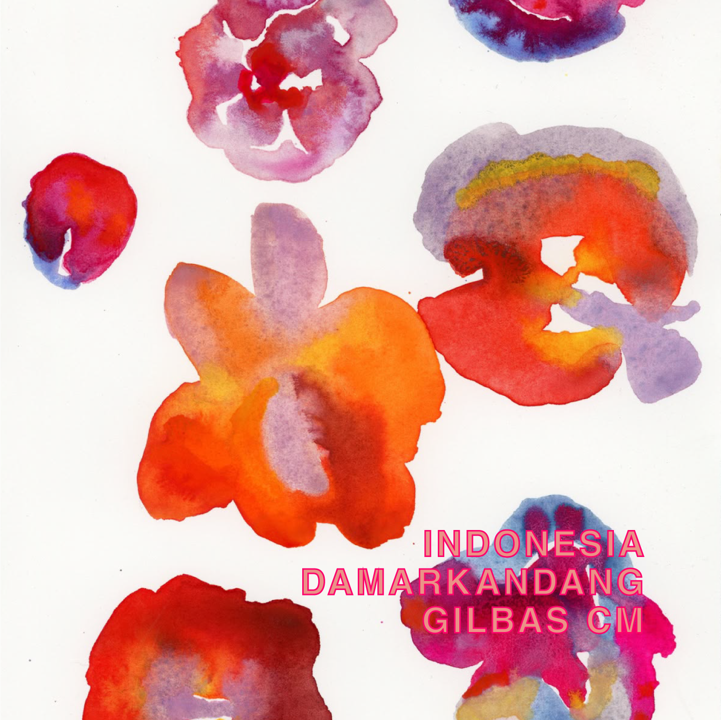 INDONESIA DAMARKANDANG GILBAS CM