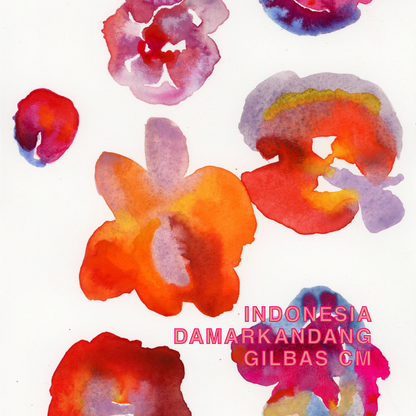 INDONESIA DAMARKANDANG GILBAS CM