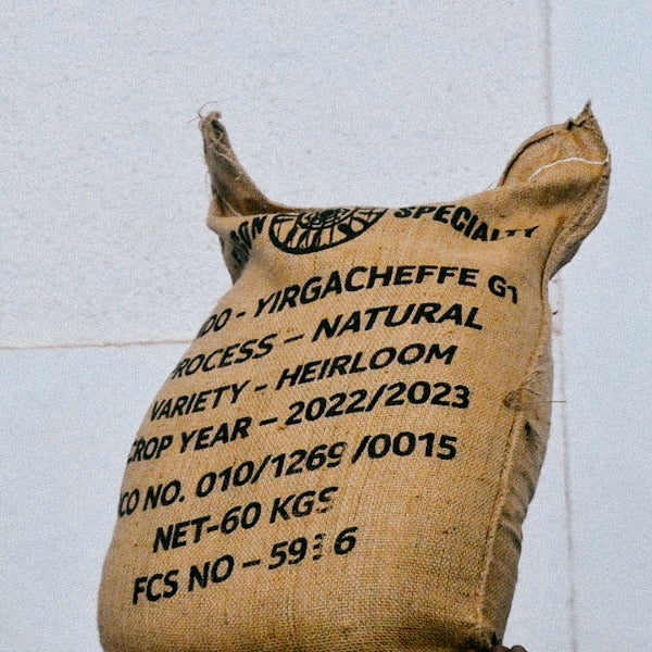 ETHIOPIA LALESA ONNA ANAEROBIC