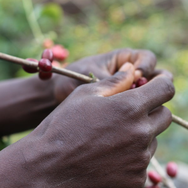 ETHIOPIA HUNDA OLI JAIKARO