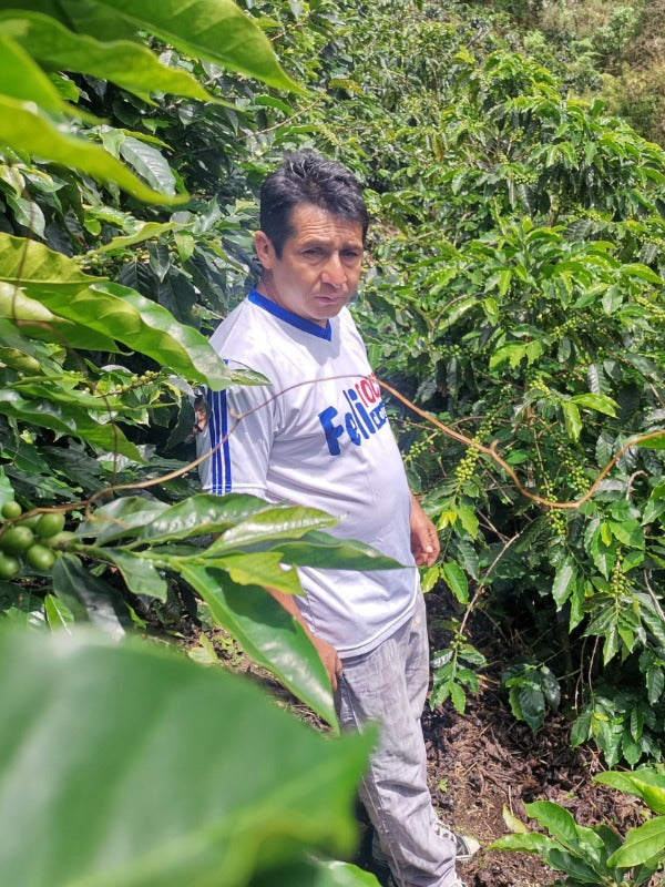 PERU EDILBERTO TORRES SITH