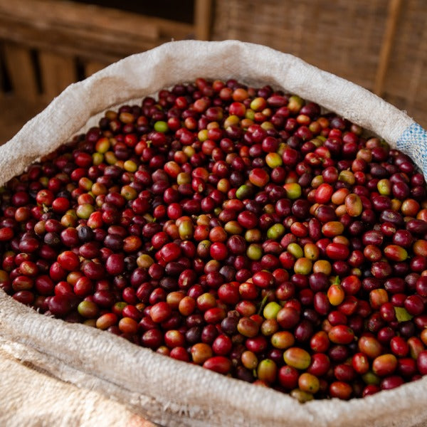 ETHIOPIA CHELCHELE JUSIU