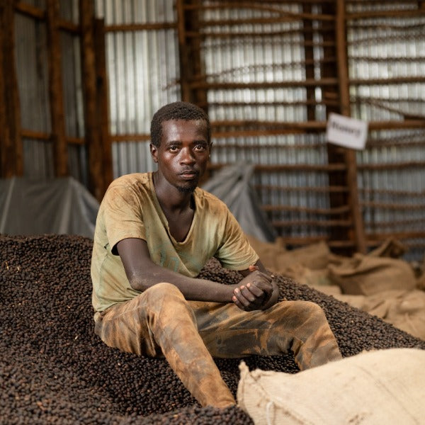 ETHIOPIA LALESA MANJA