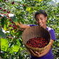 ETHIOPIA CHELCHELE JUSIU