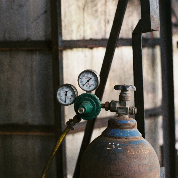 INDONESIA DAMARKANDANG YELLOW CATURRA MLETIK