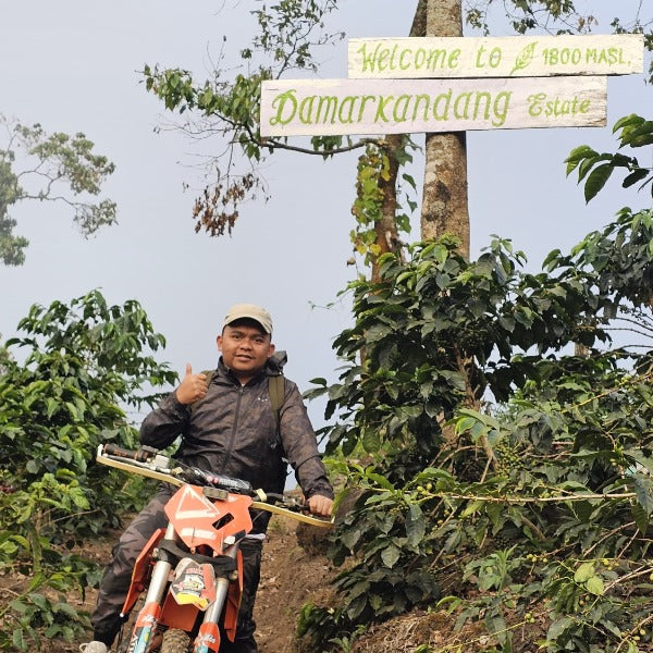 INDONESIA DAMARKANDANG OREN BOURBON KOLAH