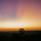 BRAZIL GABARRA GONDOL
