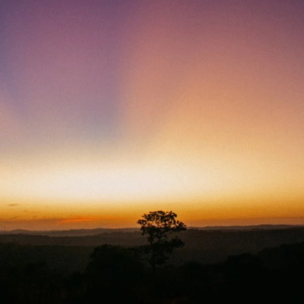 BRAZIL GABARRA GONDOL