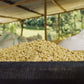 RWANDA INZOVU ROTO