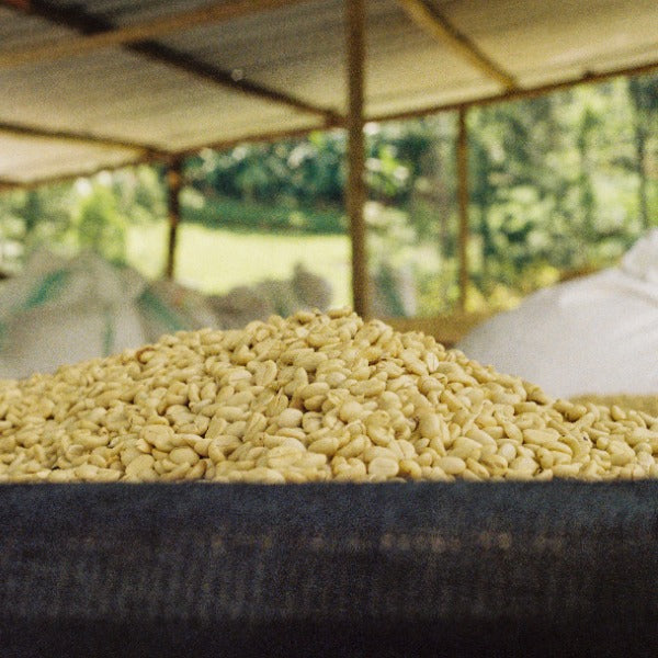 RWANDA INZOVU ROTO