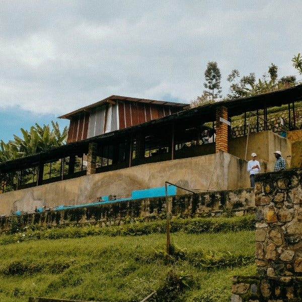 RWANDA GATARE KUMBAYE LOT #305