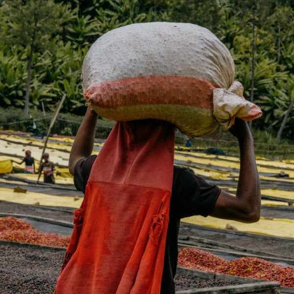 RWANDA GATARE KUMBAYE LOT #305
