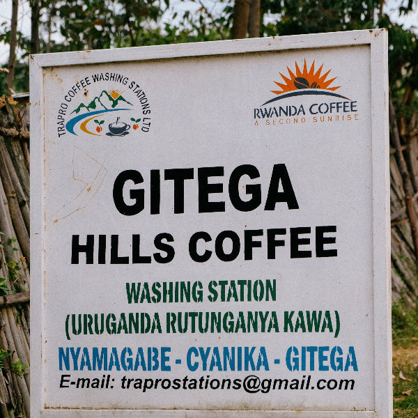 RWANDA GITEGA LOT #48
