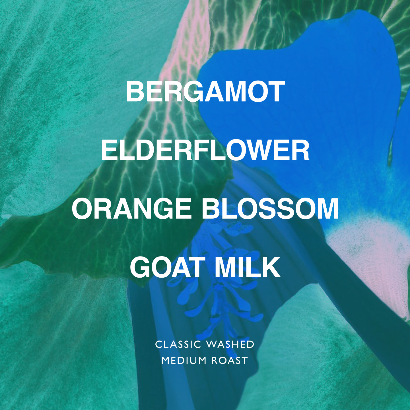 ETHIOPIA HUNDA OLI JAIKARO