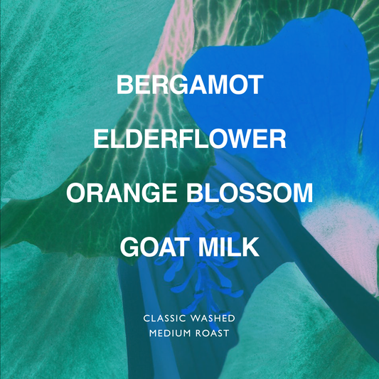 ETHIOPIA HUNDA OLI JAIKARO