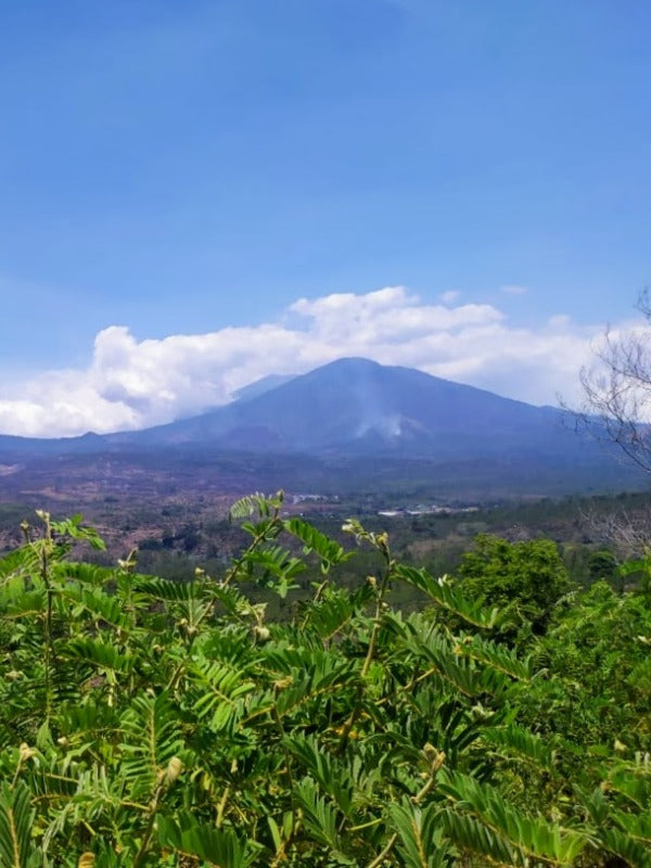 INDONESIA IJEN METAHAI OSAO #144