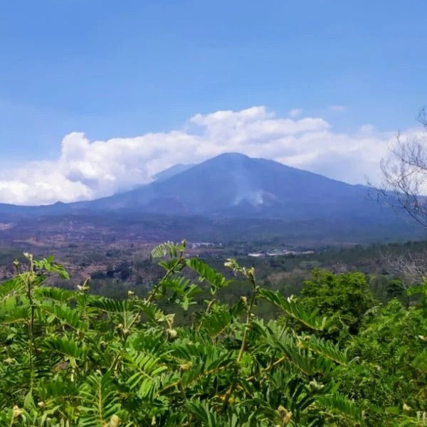 AIR TERJUN AWET MUDA