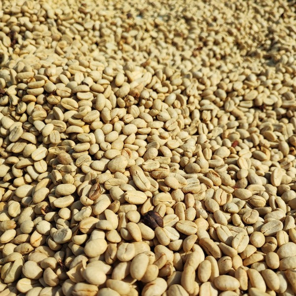 INDONESIA IJEN KEVENKA WATABIK MICROLOT