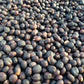 ETHIOPIA KAYON MESSIAH